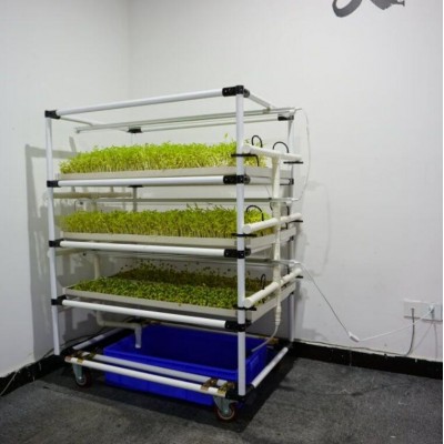 hydroponic fodder system commercial  automatic  sprout poultry feeding system rack factory home direct