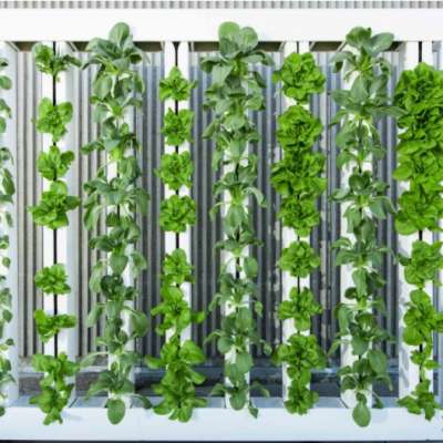 Wholesale Growing MEDIA HYDROPONICS AEROPONICS AQUAPONICS Lettuce Tower Pipes SEED SPONGES