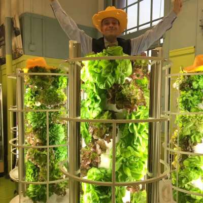 Hydroponic Growing Systems LED Light Aeroponic Tower Growing System For Gardon And Greenhouse